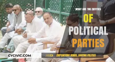 Understanding Political Parties: Key Entities and Their Roles Explained