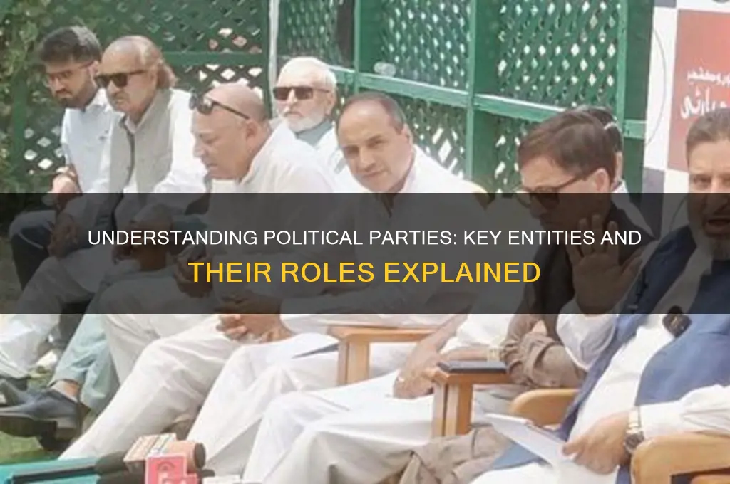 what are the entities of political parties