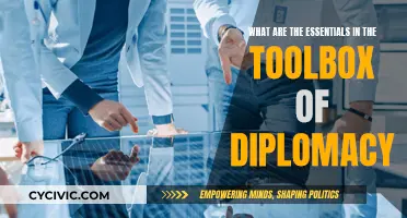 Diplomacy's Toolbox Essentials: Understanding the Core Components