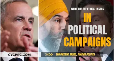 Moral Quagmire: Political Campaigns' Ethical Conundrums