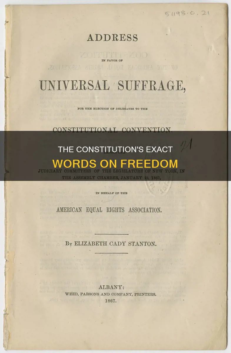 what are the exact words constitution said about freedom