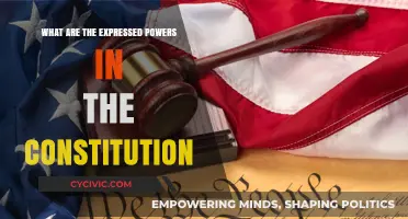 Exploring Express Powers: Constitution's Core Strengths