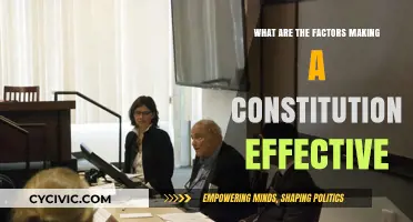Effective Constitutions: Factors for Success
