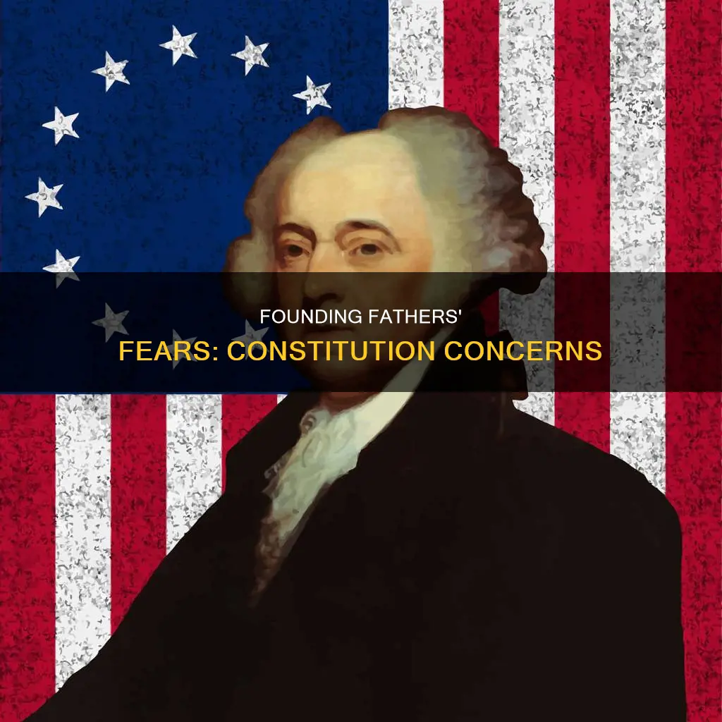 what are the fears of the founders of the constitution
