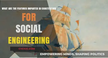 Social Engineering: Constitutional Features and Their Impact