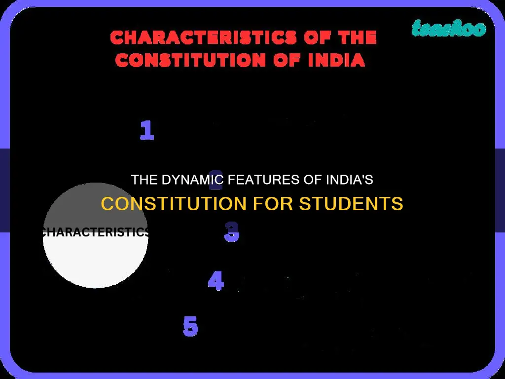 what are the features of indian constitution class 8