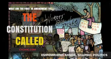 The Founding Ten Amendments: The Bill of Rights