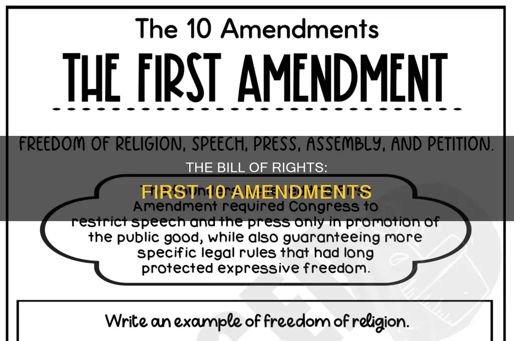 what are the first 10 constitutional amended call