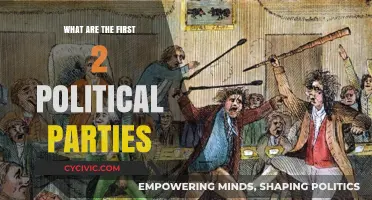The Origins of Political Parties: Exploring the First Two Factions