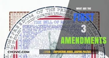 Amendments: Freedom of Religion, Speech, and the Press