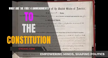 Amendments' Cornerstone: Understanding the First Four