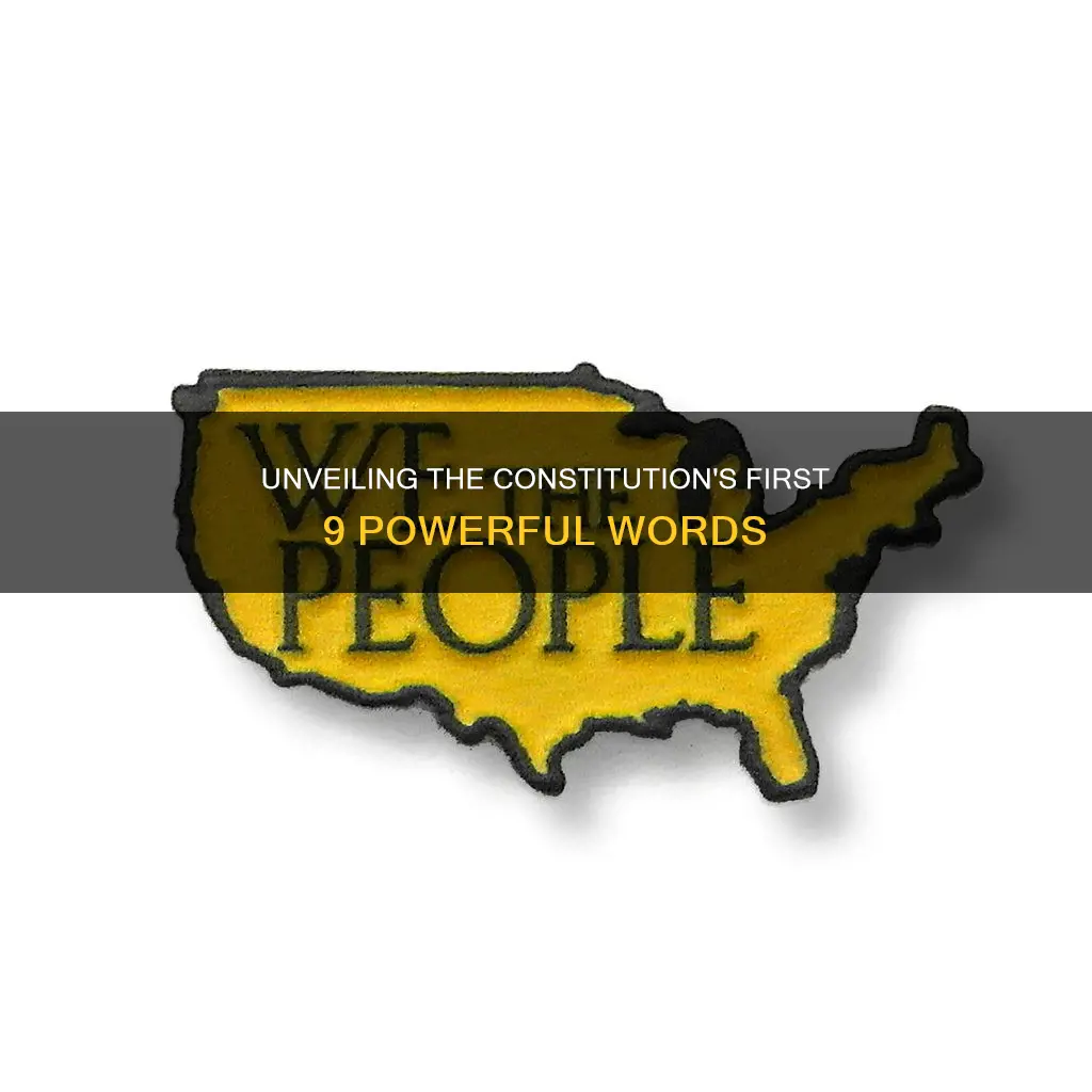 what are the first 9 words of the constitution