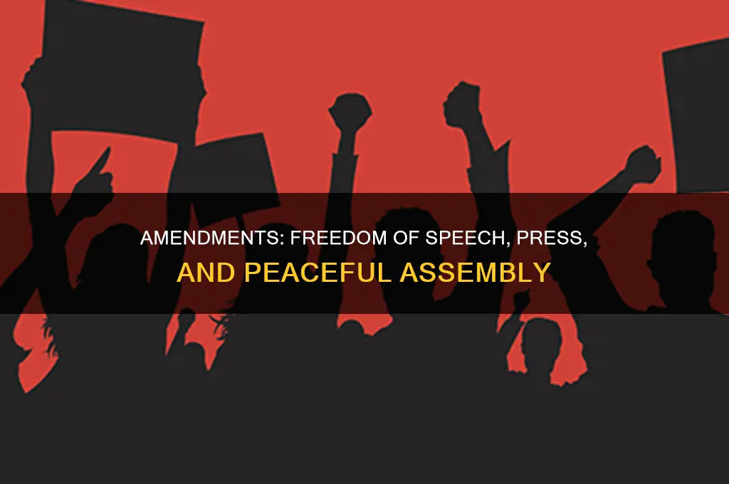 what are the first and second amendments