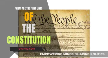 The Founding Words: First Lines of the Constitution