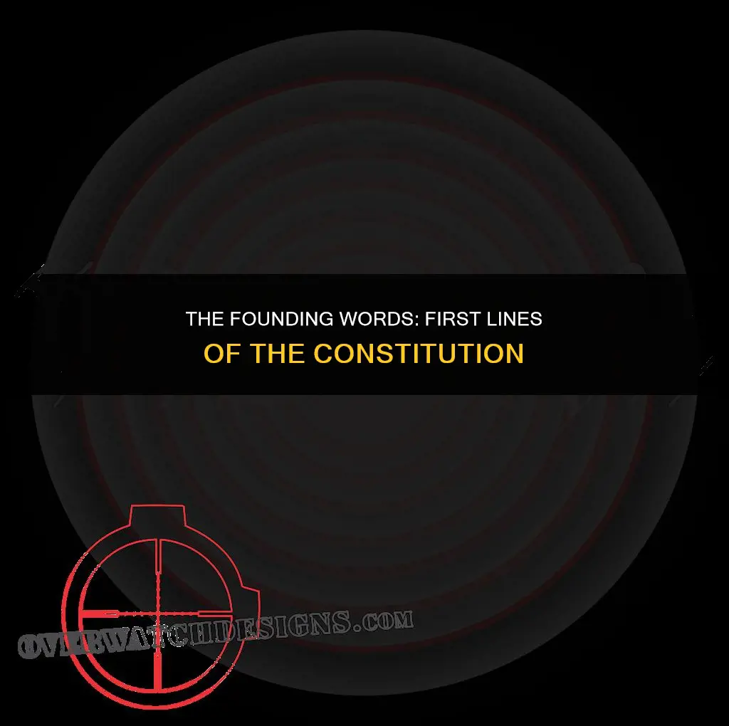 what are the first lines of the constitution
