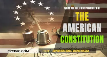 Foundations of Freedom: First Principles of the US Constitution