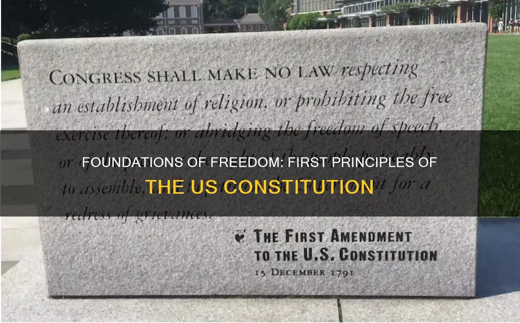 what are the first principles of the american constitution