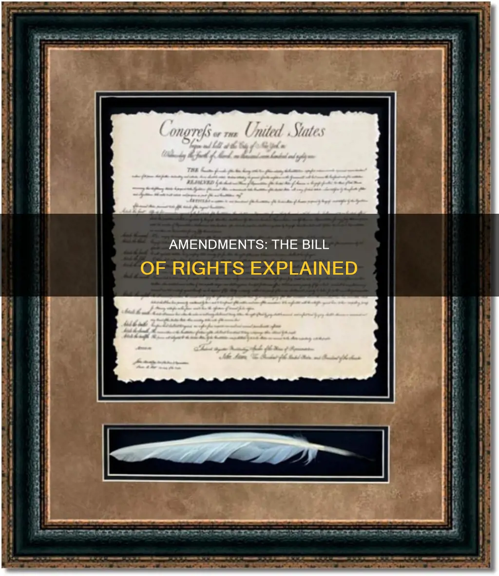 what are the first ten ammendments