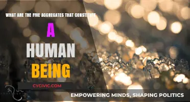 The Five Aggregates: Understanding the Human Condition