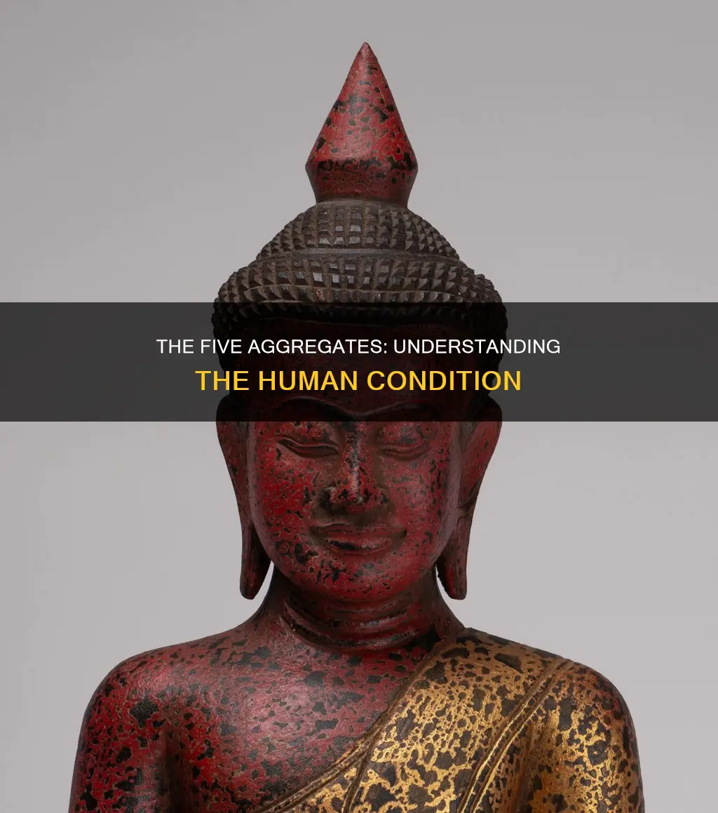 what are the five aggregates that constitute a human being