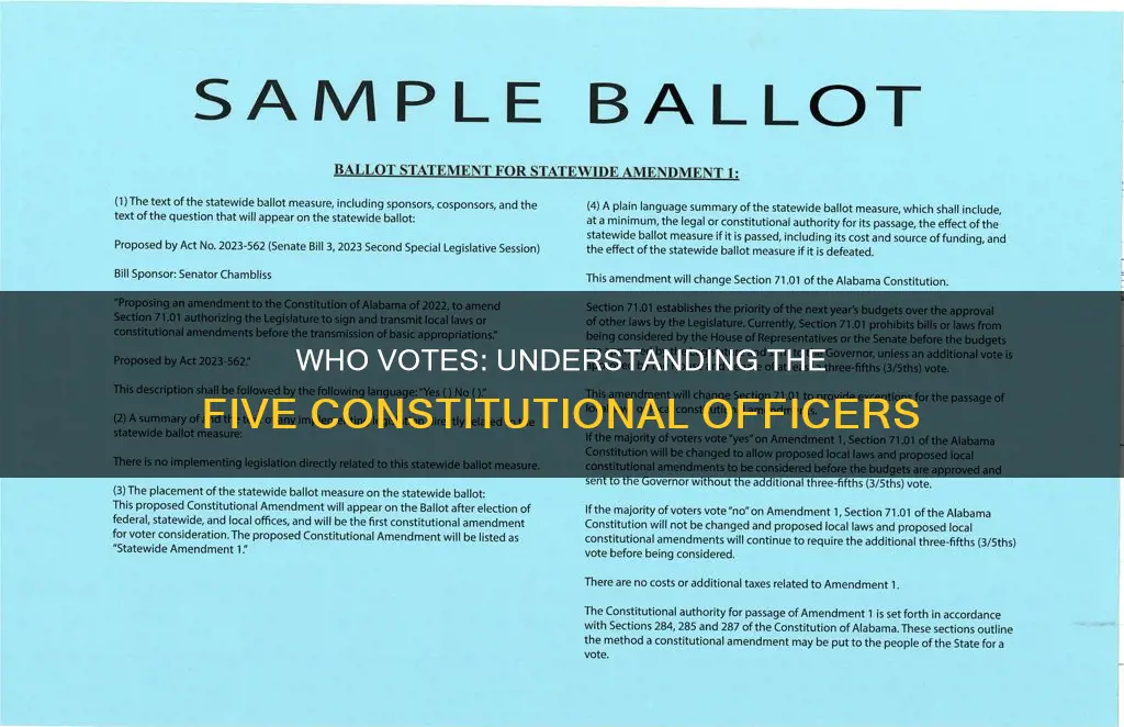 what are the five constitutional officers that vote