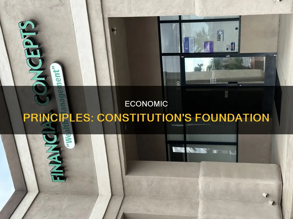 what are the five economics concepts of the constitution