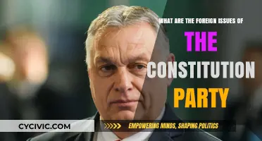 Foreign Policy: Constitution Party's Stance Explored