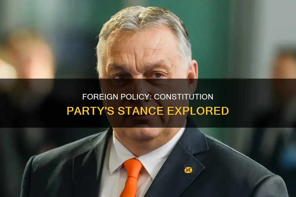 what are the foreign issues of the constitution party