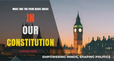 Constitution Basics: Four Key Areas Explained