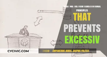 Preventing Excess: Four Constitutional Principles