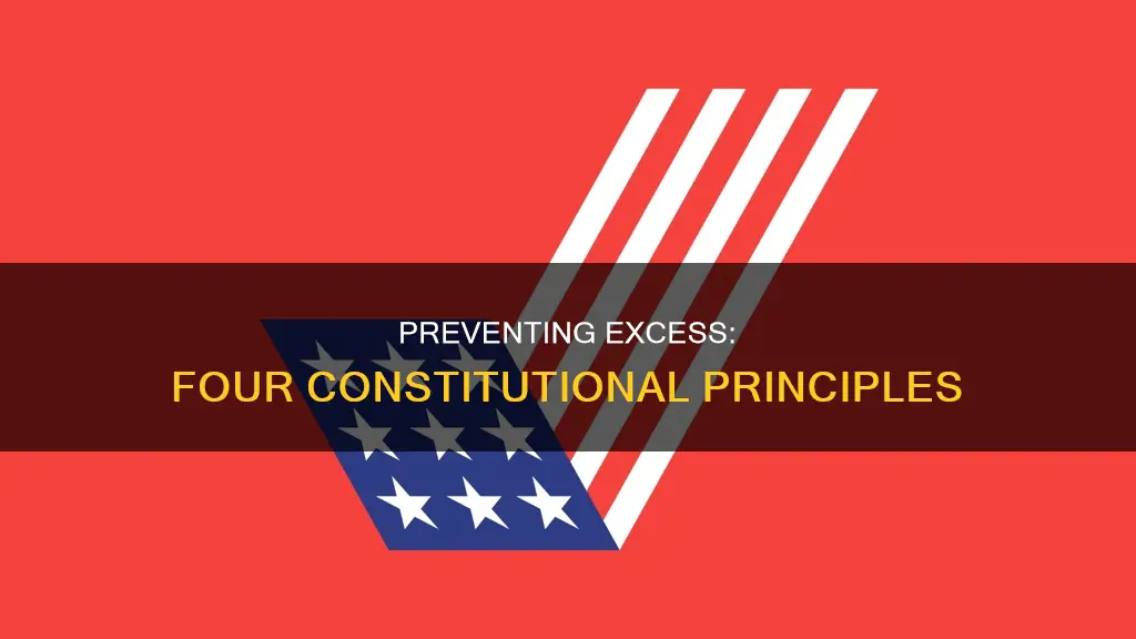 what are the four constitutional principles that prevents excessiv