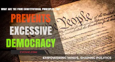 Safeguarding Democracy: Constitutional Principles Preventing Excesses