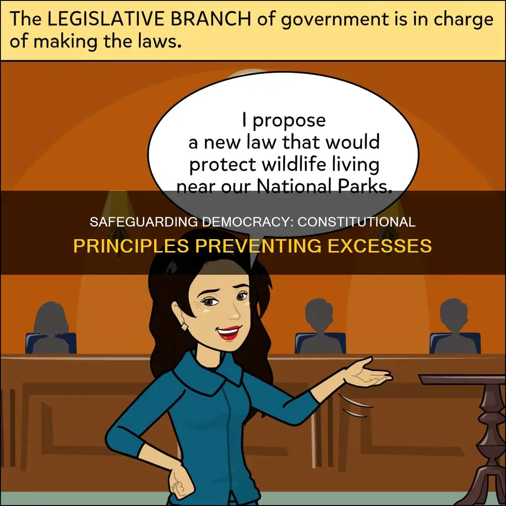 what are the four constitutional principles that prevents excessive democracy