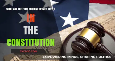 Federal Constitution: Four Major Crimes Explained