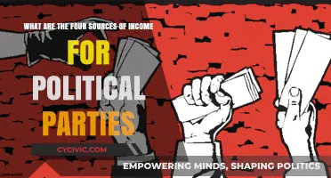 Exploring Political Parties' Diverse Income Streams: Four Key Sources