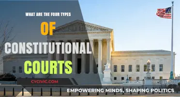 Constitutional Courts: Four Distinct Types Explained