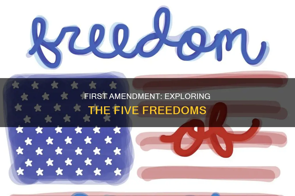 what are the freedoms guaranteed by the first amendment