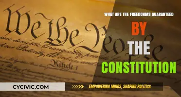 The Constitution: Our Fundamental Freedoms and Rights