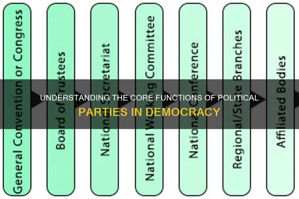 what are the function of a political party