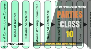Understanding Political Parties: Key Functions Explained for Class 10 Students