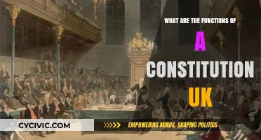 Understanding the UK Constitution: Its Functions and Purpose