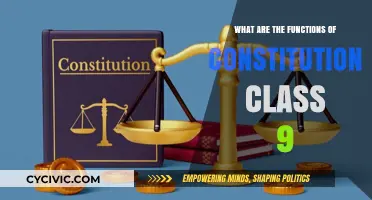 Understanding the Constitution: Its Functions and Purpose