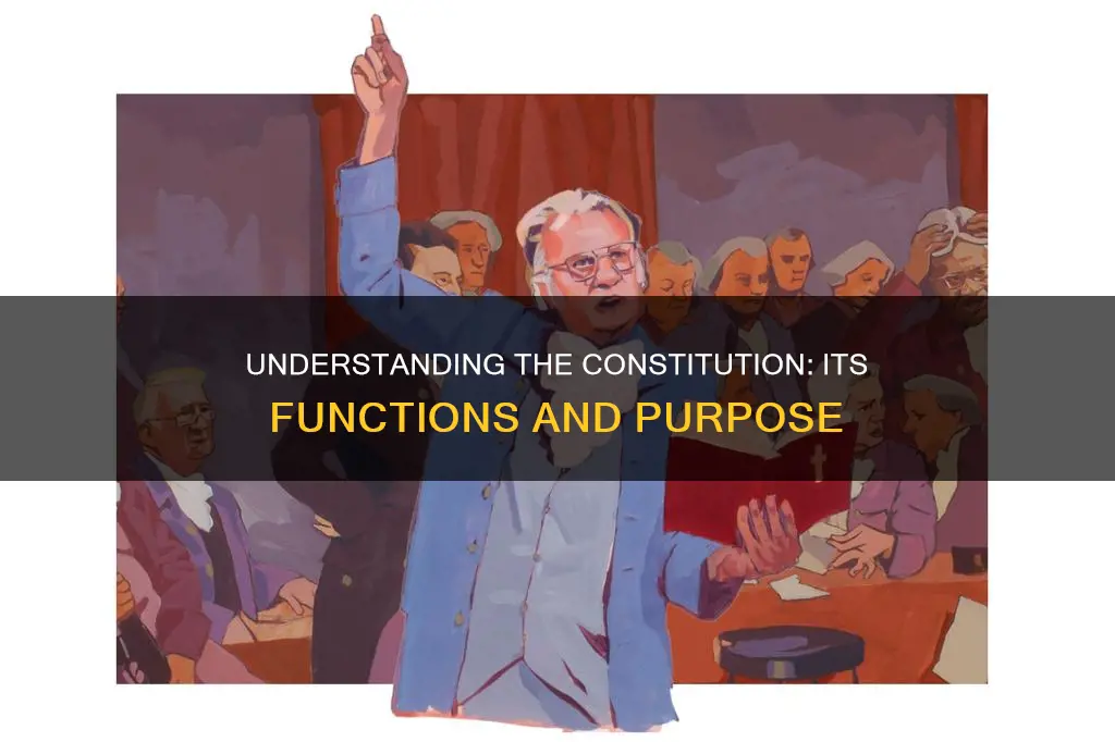 what are the functions of constitution class 9