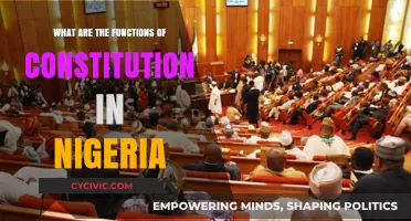 Nigerian Constitution: Functions and Powers Explained