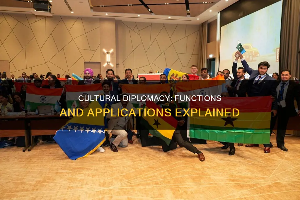 what are the functions of cultural diplomacy
