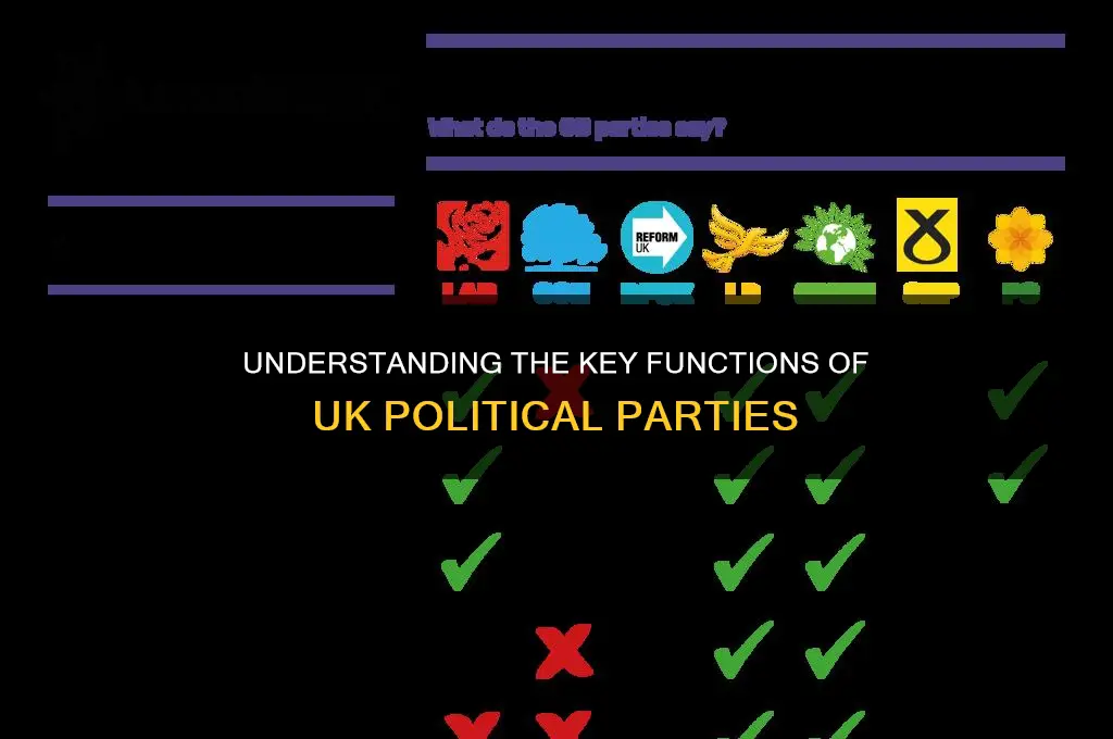 what are the functions of political parties uk