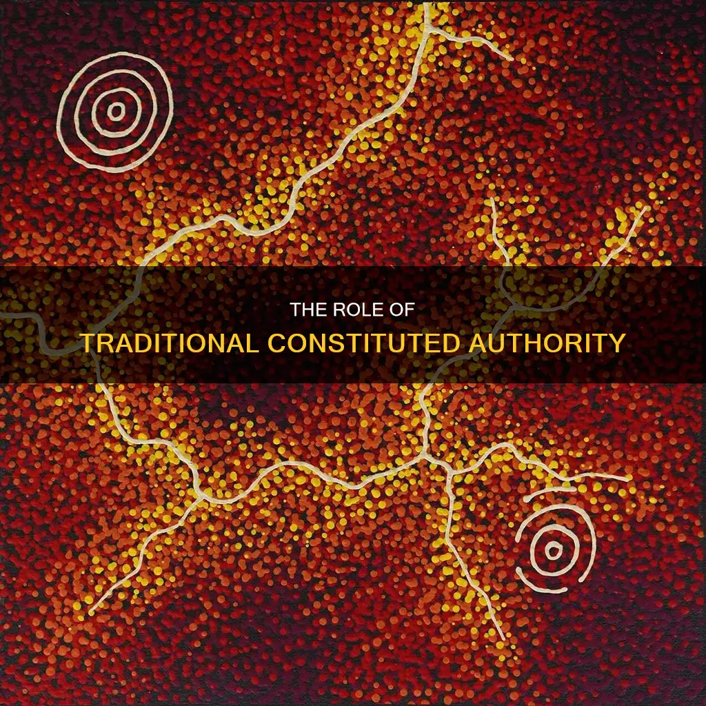 what are the functions of traditional constituted authority