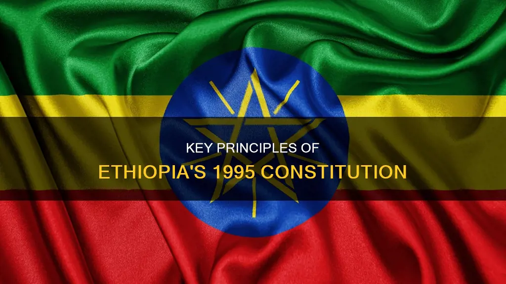 what are the fundamental principles of the 1995 fdre constitution