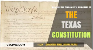 Key Principles: The Texas Constitution Explained
