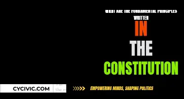 Fundamental Principles: The Constitution's Core Values